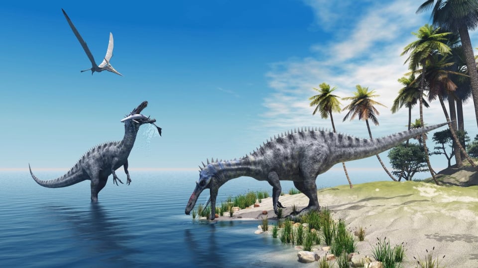 Idyla u dinosaurů